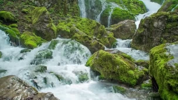 Agua Fluye Sobre Las Rocas Que Están Cubiertas Musgo Karst — Vídeos de Stock