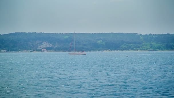 Een Kleine Zeilboot Vaart Zee Het Een Mooie Zonnige Dag — Stockvideo