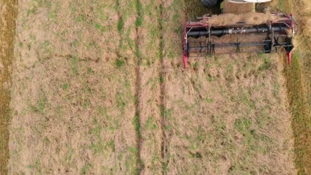 Комбинат Огромный Механизм Воздушный Выстрел Сейчас Лето Фермеры Собирают Пшеницу — стоковое видео
