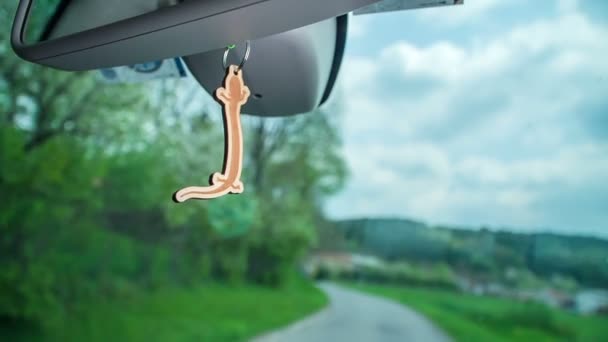 Car Pendant Rear Mirror Van — Stock Video