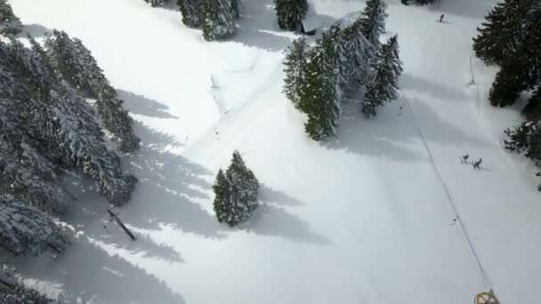空中射撃だスロベニアの美しいスキー場を見ることができます 雪はほとんどの風景を覆っており トウヒの木にもあります — ストック動画