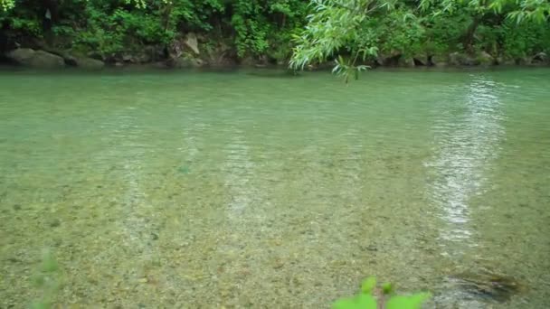 Ein Schöner Grüner Fluss Einem Schönen Sommertag Die Landschaft Ist — Stockvideo