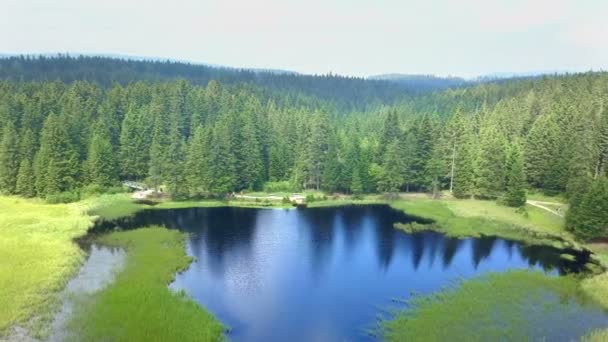 湖面上美丽的蓝水 绿茵的草地和森林 大自然是如此的美丽和宁静 空中射击 — 图库视频影像