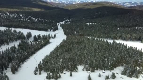 Sehen Wir Fichtenwälder Und Skipisten Luftaufnahme Ist Winterzeit — Stockvideo