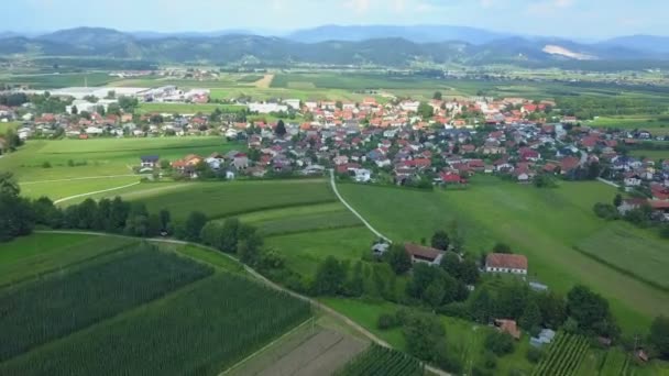 スロベニアの真ん中にある小さな村 それは本当に豪華なです 空中射撃だ夏時間だ — ストック動画
