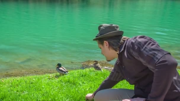 Imágenes Joven Mirando Hermosos Patos Parque Cerca Del Castillo — Vídeo de stock