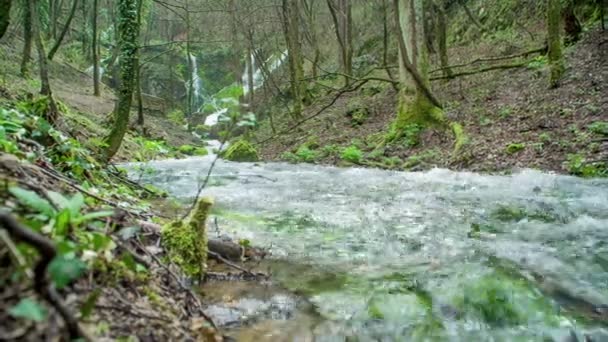 川は本当に速く下り坂流れている 森の中の自然は本当に素晴らしいです 背景には2つの滝もあります — ストック動画