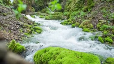 Su yosunlarla kaplı kayaların üzerinden akar. Slovenya Karst bölgesi, genellikle çorak, kayalık zemin, mağaralar, subatanlar, yeraltı nehirleri ve yüzey akarsularının ve göllerin yokluğuyla karakterize edilir..