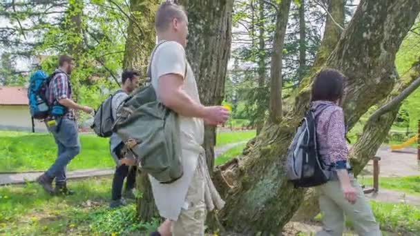 Barát Találkozik Néhány Fán Melyek Egymás Mellett Nőnek Parkban — Stock videók