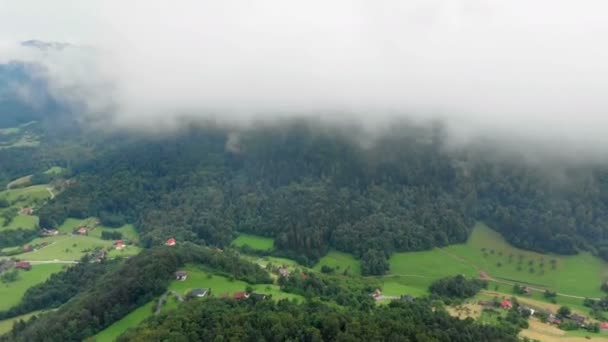 Hom Zalec Slovenia 我们可以看到许多森林和绿色山谷 空中射击 夏天到了 — 图库视频影像