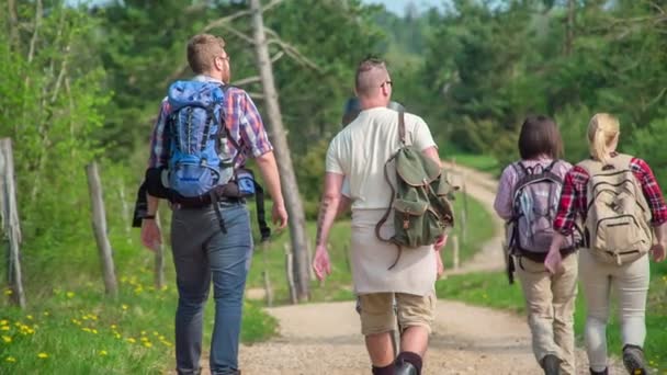 Een Groep Vrienden Wandelt Een Landweg Een Prachtige Zonnige Dag — Stockvideo