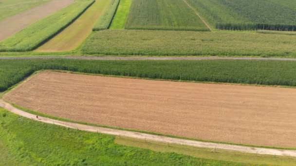 Uprostřed Krajiny Jedno Velké Hnědé Mnoho Zelených Polí Letecký Snímek — Stock video