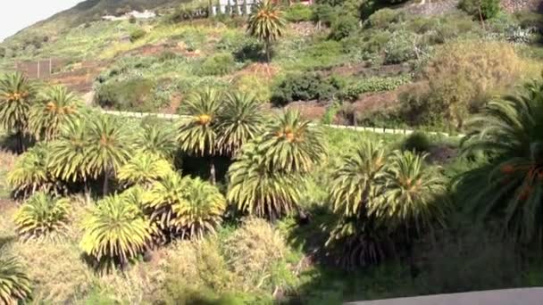 Carro Está Dirigindo Encosta Pessoas Estão Observando Natureza Tudo Verde — Vídeo de Stock