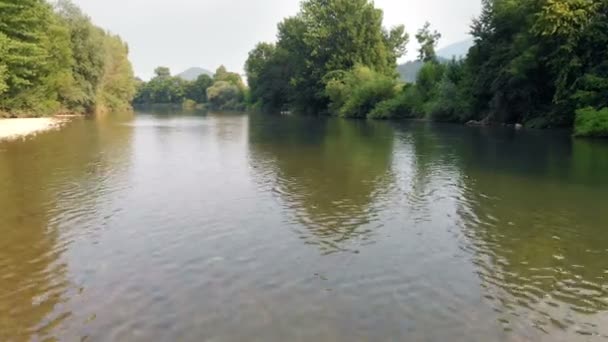 Widzimy Piękną Rzekę Otaczające Drzewa Czas Lato Strzał Powietrza — Wideo stockowe