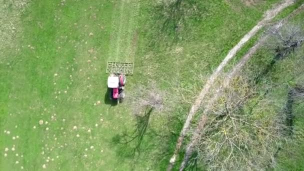トラクターは牧草地を運転しており 農業機械で草を切っています 空中射撃 — ストック動画