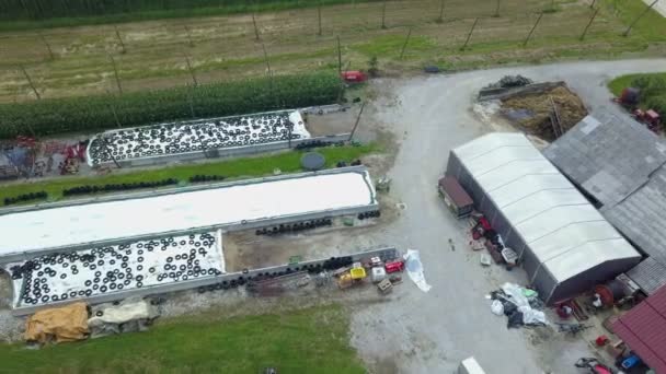 Next Vineyards Some Garbage Containers Aerial Shot — Stock Video