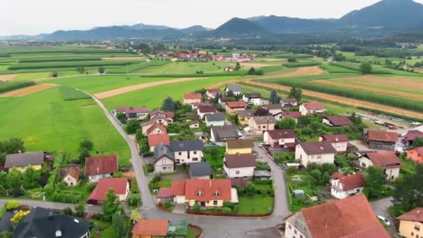 Zien Een Prachtige Groene Natuur Het Dorpje Vooraan Luchtfoto Slovenië — Stockvideo