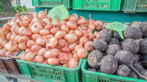 시장에서는 감자와 야채들이 팔린다 — 비디오