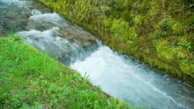 Nehir akıyor ve nehirdeki köpüğü görebiliyoruz. Bankalar yeşil..