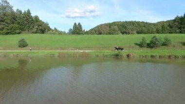 Genç evli bir çiftin olduğu klasik bir araba gölün etrafında dolaşıyor. Hava görüntüsü.