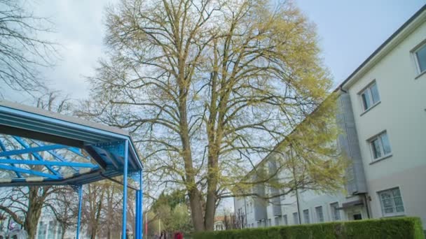 Vor Dem Mehrfamilienhaus Diesem Wohngebiet Steht Ein Großer Gelber Baum — Stockvideo