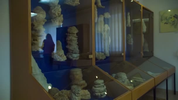 Steine Werden Raum Eines Museums Entsorgt — Stockvideo