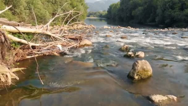 Ligt Daar Een Boom Rivier Stroomt Langzaam Voorbij Het Zomer — Stockvideo