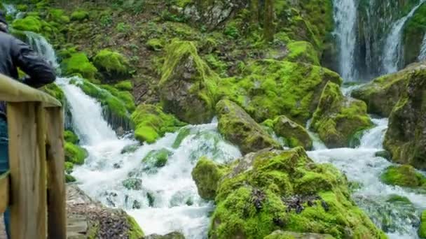 Турист Наблюдает Водопадами Лесу Фотографирует Камни Лесу Покрыты Мхом — стоковое видео