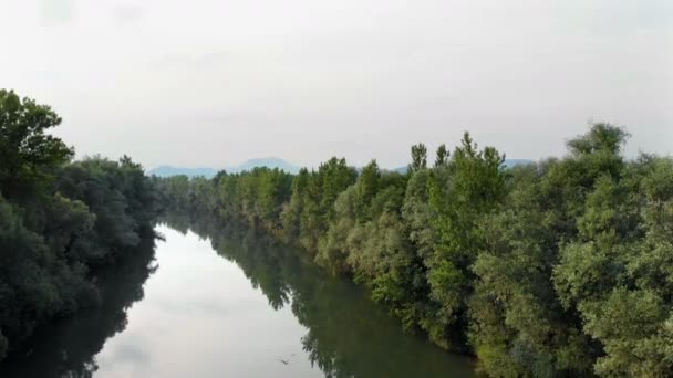 Podemos Ver Rio Pacífico Meio Natureza Tiro Aéreo Hora Verão — Vídeo de Stock