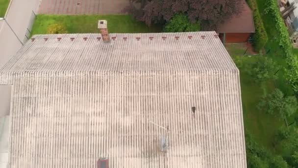 Hay Hermoso Árbol Rojo Junto Casa Alguien Este Vecindario — Vídeo de stock