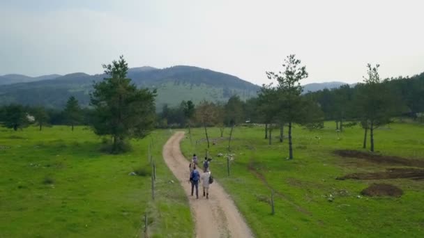 Duas Pessoas Estão Caminhando Caminho Natureza Tiro Aéreo Está Belo — Vídeo de Stock