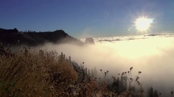 山顶上的景色很好 阳光灿烂 一大早在山上 — 图库视频影像