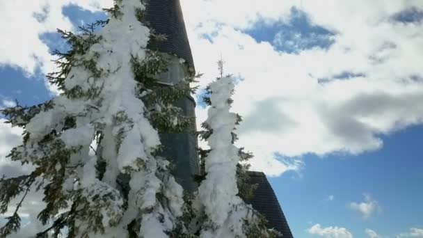 雪に覆われた教会とスプルースの木が見えます 空は美しく青い — ストック動画