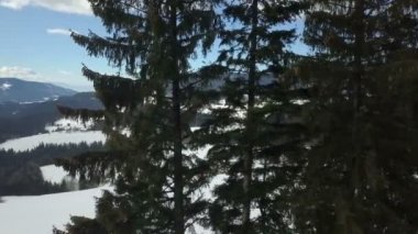 Bir kış günü güzel beyaz çayırları ve karlı manzaraları görebiliriz. Gökyüzü mavi.