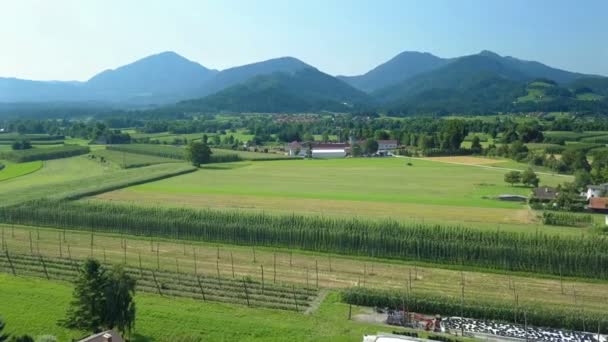 Can See Beautiful Green Meadows Mountains Background — Stock Video