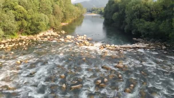 Podemos Ver Muchas Piedras Grandes Agua Disparo Aéreo Río Fluye — Vídeo de stock