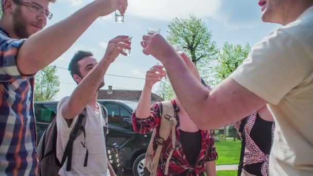 Los Amigos Están Tintineando Vasos Luego Beberán Algo Alcohol Están — Vídeo de stock