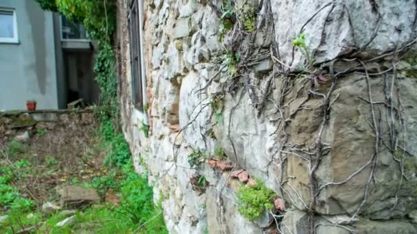 Заброшенный Дом Словенском Карсте Растения Растут Стенах Дома Можем Увидеть — стоковое видео