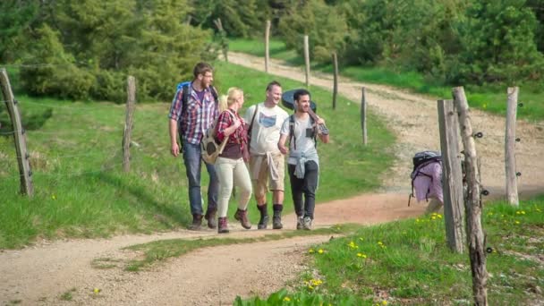 Grupp Ungdomar Går Ensam Landsväg Damerna Knäböjer För Att Plocka — Stockvideo