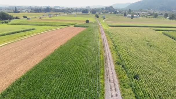 Railway Leading Fields Sun Shining Day Really Beautiful Aerial Shot — Stock Video