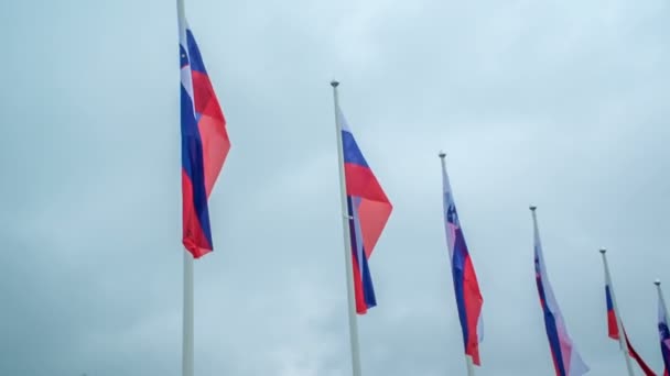 Siete Banderas Eslovenas Ondean Viento Día Niebla — Vídeo de stock