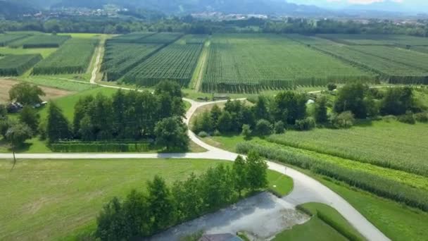 Linda Paisagem Verde Eslovénia Tiro Aéreo País Realmente Bonito Deslumbrante — Vídeo de Stock