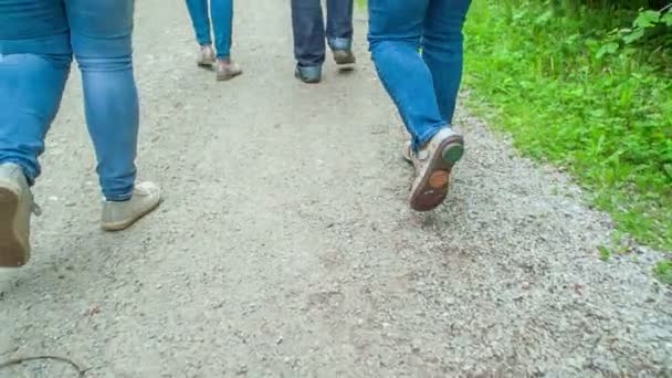 Quatro Pessoas Estão Caminhando Caminho Meio Natureza Podemos Ver Pés — Vídeo de Stock