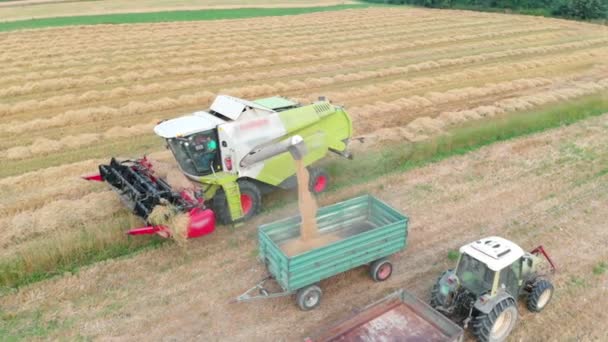 Boeren Oogsten Het Graan Zomer Zien Een Enorme Combinatie Ook — Stockvideo