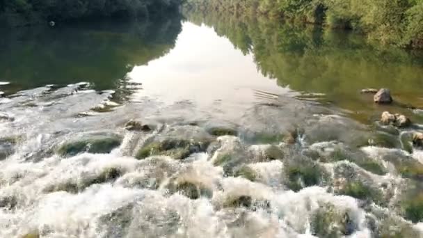 Видим Вода Выглядит Немного Коричневой Отражения Деревьев Обе Стороны Реки — стоковое видео