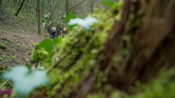 いくつかの観光客が森の真ん中に立っていて 滝の美しさを観察しています スロベニアのカルスト — ストック動画
