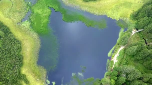 我们可以看到湖中迷人的蓝色 空中射击 大自然是美丽的绿色 — 图库视频影像