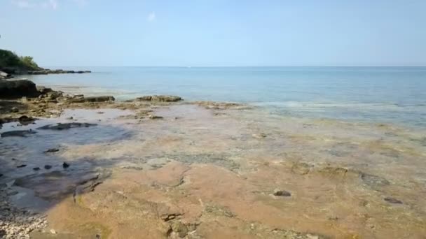 海の平和的な水 本当に素晴らしい一日でした 夏時間 — ストック動画