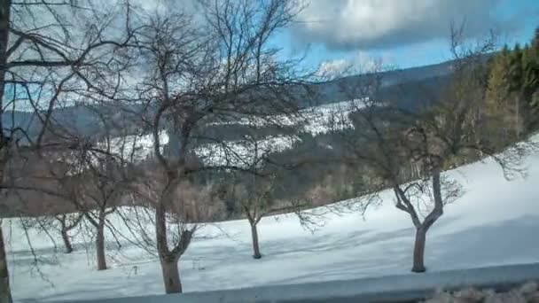 誰かが下り坂を運転しており 彼は雪に覆われた美しい自然を観察しています 広角撮影 — ストック動画