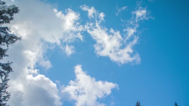 Cielo Bellamente Azul Podemos Ver Solo Unas Pocas Nubes Invierno — Vídeo de stock